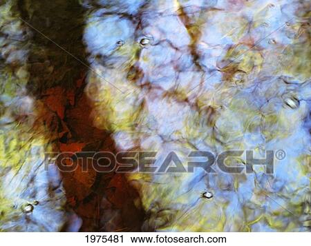 Water Abstract 28, Massachusetts, Seekonk, Caratunk Wildlife Refuge, Ripples And Reflections On Water Surface. View Large Photo Image Stock Image - Water Abstract 28, Massachusetts, Seekonk, Caratunk Wildlife Refuge, Ripples And Reflections On Water Surface.. Fotosearch
