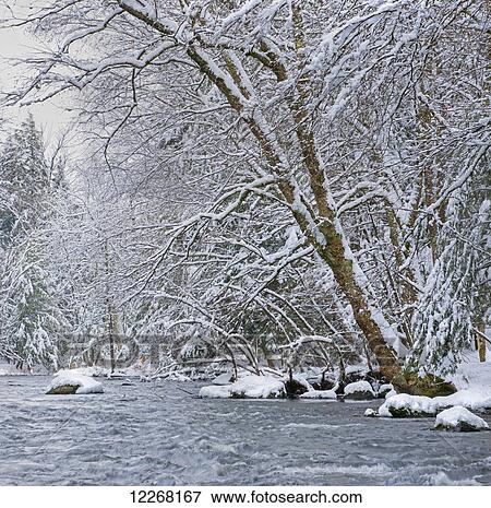 Water flowing in a river with snow covered shoreline; Fulford, Quebec, Canada View Large Photo Image Stock Photo - Water flowing in a river with snow covered shoreline; Fulford, Quebec, Canada. Fotosearch