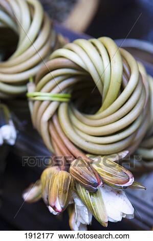 Stock Photo - Water Lilly Flowers On Sale In Market At Chau Doc, Mekong Delta, Vietnam. Fotosearch