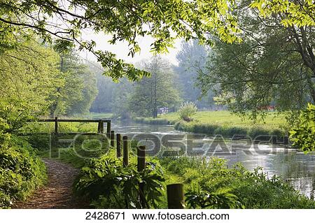 Stock Image - Water meadows along the River Itchen on a summer day; Winchester, Hampshire, England. Fotosearch