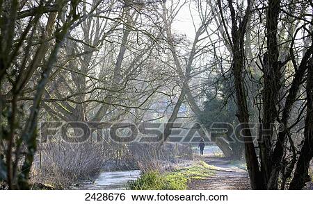 Stock Photograph - Water meadows at dawn; Winchester, Hampshire, England. Fotosearch