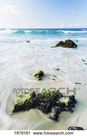 Water washing up on a white sand beach over moss covered rocks View Large Photo Image Stock Image - Water washing up on a white sand beach over moss covered rocks. Fotosearch