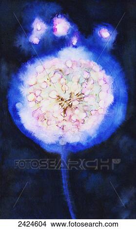 Picture - Watercolor painting of an illuminated dandilion.. Fotosearch
