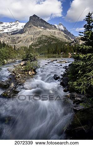 Waterfall And Mountain At Lake O'hara, Yoho National Park, British Columbia, Canada View Large Photo Image Stock Photo - Waterfall And Mountain At Lake O'hara, Yoho National Park, British Columbia, Canada. Fotosearch