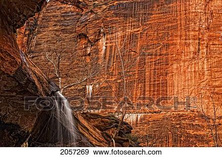Stock Photo - Waterfall And Tree On Top Of The Lower Emerald Pool, Zion National Park, Utah.. Fotosearch