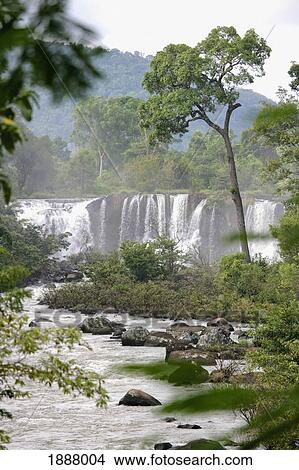 Picture - Waterfall And Trees At Tat Lo. Fotosearch