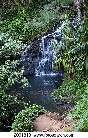 Stock Photo - Waterfall At Queen's Bath; Princeville, Kauai, Hawaii. Fotosearch