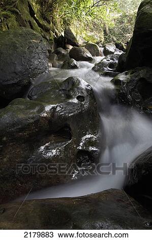 Stock Image - Waterfall in maokong tea growing area Taiwan. Fotosearch