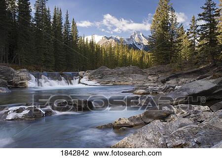 Stock Image - Waterfall On Sheep River; Kananaskis, Alberta, Canada. Fotosearch