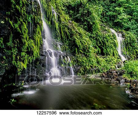 Waterfall on Southeast coast of Upolu Island; Upolu Island, Samoa View Large Photo Image Stock Photograph - Waterfall on Southeast coast of Upolu Island; Upolu Island, Samoa. Fotosearch