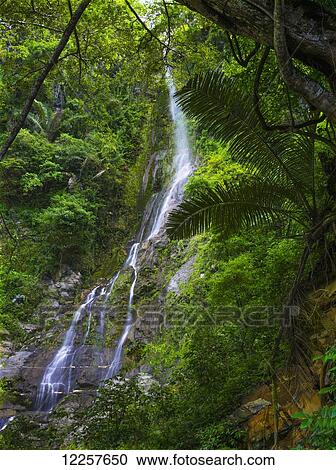 Stock Image - Waterfall on the mountains with lush, green foliage; Timor-Leste. Fotosearch