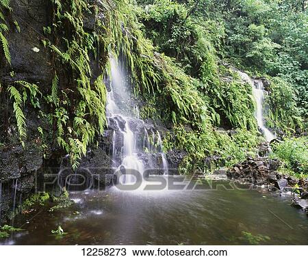 Stock Image - Waterfall on the Southeast coast of Upolu Island; Ulpolu, Samoa. Fotosearch