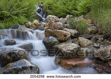 Waterfall With Ferns In Scottish Highlands; Glencoe, Scotland View Large Photo Image Stock Photo - Waterfall With Ferns In Scottish Highlands; Glencoe, Scotland. Fotosearch