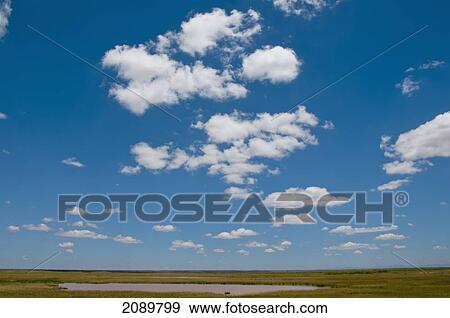 Stock Photo - Waterhole And Cloudy Sky In Amboseli, Kenya. Fotosearch