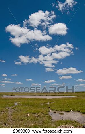Stock Image - Waterhole And Sky At Amboseli, Kenya. Fotosearch