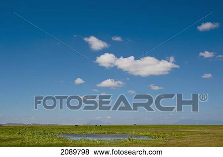 Waterhole And Sky In Amboseli, Kenya View Large Photo Image Stock Photo - Waterhole And Sky In Amboseli, Kenya. Fotosearch