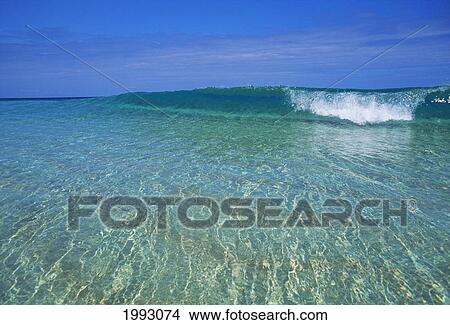 Wave Forming On Clear Ocean, White Light Energy. View Large Photo Image Picture - Wave Forming On Clear Ocean, White Light Energy.. Fotosearch