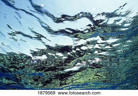 Wave Seen From Underwater, Close Up View Large Photo Image Stock Photo - Wave Seen From Underwater, Close Up. Fotosearch