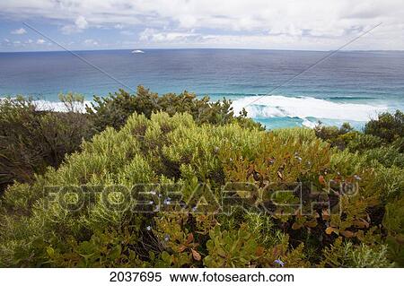 Stock Photography - Waves And The Beach At Sandpatch Near Albany; Western Australia Australia. Fotosearch