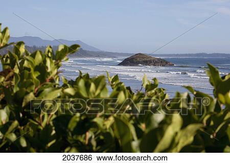 Waves At Long Beach In Pacific Rim National Park Near Tofino; British Columbia Canada View Large Photo Image Stock Photograph - Waves At Long Beach In Pacific Rim National Park Near Tofino; British Columbia Canada. Fotosearch