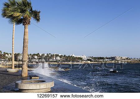 Stock Photo - Waves crash along the shore with palm trees at the water's edge; Paphos, Cyprus. Fotosearch