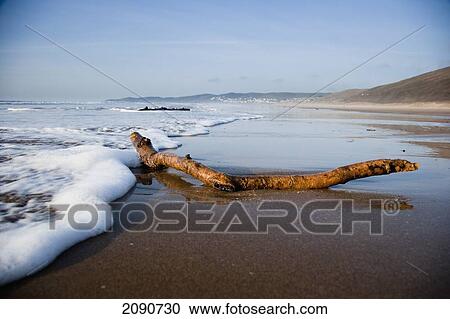 Stock Image - Waves Lapping On The Sandy Beach Against Some Driftwood In Putsborough Sands, North Devon, Uk. Fotosearch