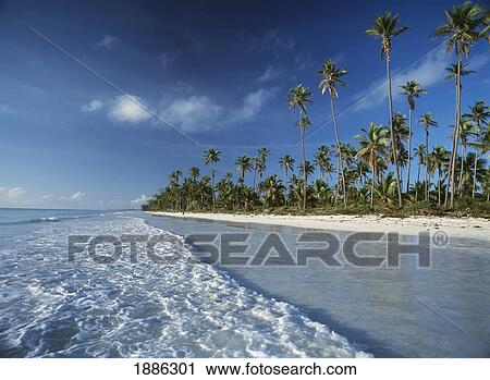 Stock Image - Waves Lapping Shore Of Beach With Palm Trees Behind. Fotosearch