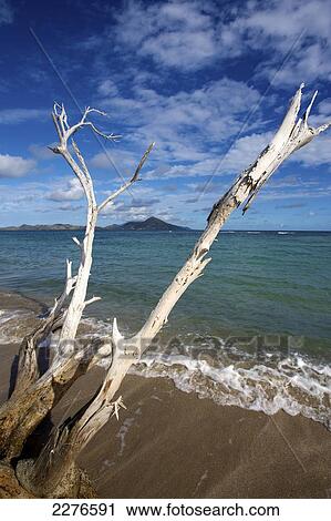 Stock Image - Waves wash onto the North Shore of Nevis Island; Nevis, West Indies. Fotosearch