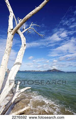 Waves wash onto the North Shore of Nevis Island; Nevis, West Indies View Large Photo Image Stock Image - Waves wash onto the North Shore of Nevis Island; Nevis, West Indies. Fotosearch