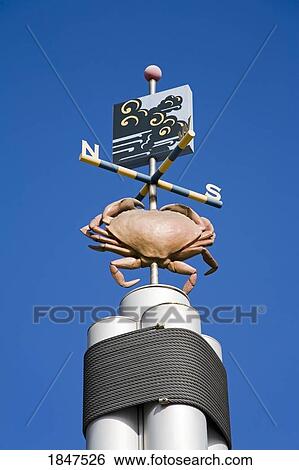 Weather Vane; Seattle, Washington State, Usa View Large Photo Image Stock Photograph - Weather Vane; Seattle, Washington State, Usa. Fotosearch