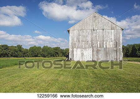 Stock Photograph - Weathered barn in an open field; Maryland, United States of America. Fotosearch