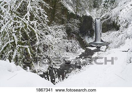 Weisendanger Falls In Winter, Columbia River Gorge, Oregon, Usa View Large Photo Image Stock Image - Weisendanger Falls In Winter, Columbia River Gorge, Oregon, Usa. Fotosearch