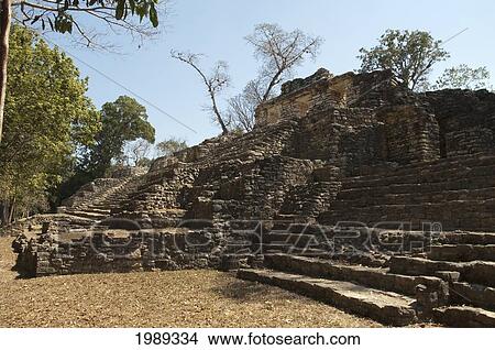 West Acropolis, Yaxchilan, Chiapas, Mexico View Large Photo Image Picture - West Acropolis, Yaxchilan, Chiapas, Mexico. Fotosearch