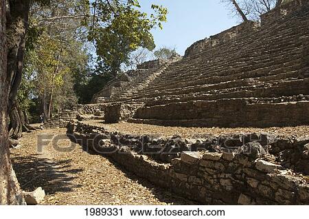 West Acropolis, Yaxchilan, Chiapas, Mexico View Large Photo Image Stock Image - West Acropolis, Yaxchilan, Chiapas, Mexico. Fotosearch