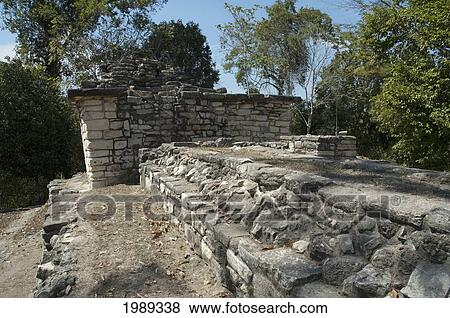 West Acropolis, Yaxchilan, Chiapas, Mexico View Large Photo Image Stock Photo - West Acropolis, Yaxchilan, Chiapas, Mexico. Fotosearch
