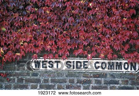 Stock Image - West Side Common, Wimbledon. Fotosearch