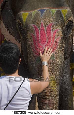Stock Photo - Western Woman Patting Elephant At Amber Fort, Close Up. Fotosearch