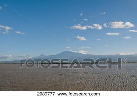Stock Photo - Wet Landscape, Mt Kilimanjaro, Amboseli, Kenya. Fotosearch