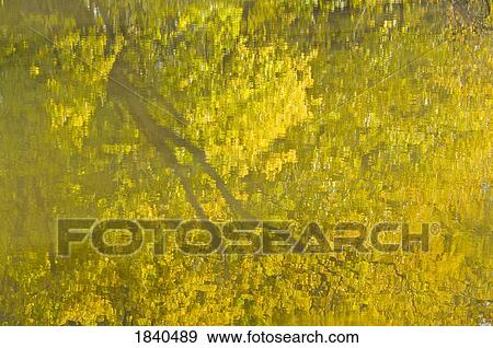 Stock Photo - Wetlands Preserve; Freeport, Illinois, Usa. Fotosearch