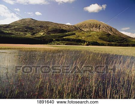 Wetlands With Hills In Background View Large Photo Image Stock Image - Wetlands With Hills In Background. Fotosearch