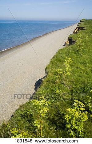 Stock Photo - Weybourne Beach's Cliff. Fotosearch