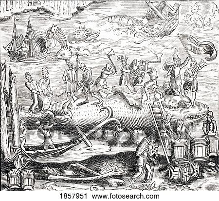 Whale Fishing. After Woodcut In Cosmographie Universelle Of Thevet Published 1574 View Large Photo Image Stock Image - Whale Fishing. After Woodcut In Cosmographie Universelle Of Thevet Published 1574. Fotosearch