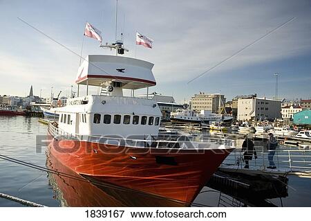Whale Watching Centre Boat; Reykjavik, Iceland View Large Photo Image Stock Photo - Whale Watching Centre Boat; Reykjavik, Iceland. Fotosearch