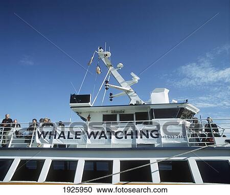 Stock Image - Whale Watching Tour Boat Detail. Fotosearch