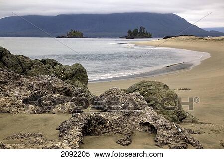Whaler Islet With View Towards Flores Island; Vancouver Island British Columbia Canada View Large Photo Image Stock Photography - Whaler Islet With View Towards Flores Island; Vancouver Island British Columbia Canada. Fotosearch