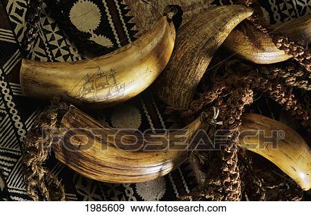 Stock Photo - Whale's teeth and other fijian artifacts; Fiji. Fotosearch