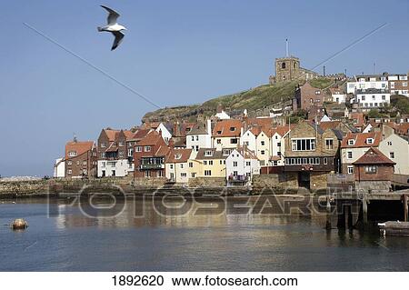 Whitby Harbour View Large Photo Image Stock Image - Whitby Harbour. Fotosearch