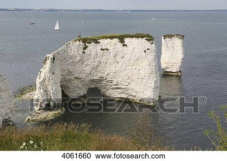 White chalk stacks of Old Harry from the cliffs along the south west coast path, near Studland; Dorset, England View Large Photo Image Stock Image - White chalk stacks of Old Harry from the cliffs along the south west coast path, near Studland; Dorset, England. Fotosearch