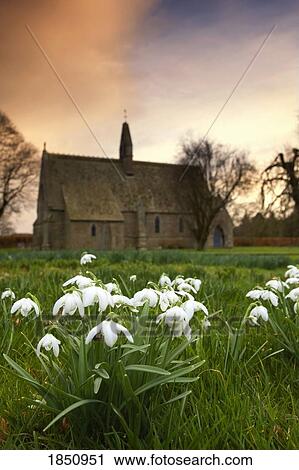 White Flowers With A Small Church In Background View Large Photo Image Stock Image - White Flowers With A Small Church In Background. Fotosearch
