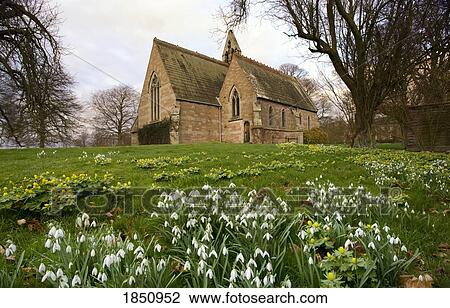 Stock Image - White Flowers With A Small Church In Background; Northumberland, England. Fotosearch
